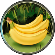 5bananen 188-188.png