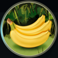 5 Testbild Bananen 188x188.png